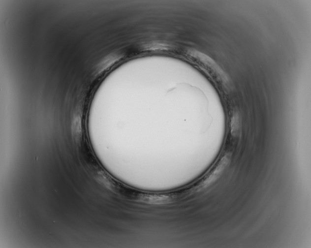 X0000086911209200705141656