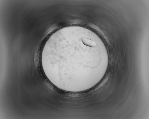 X0000086911211200705141656