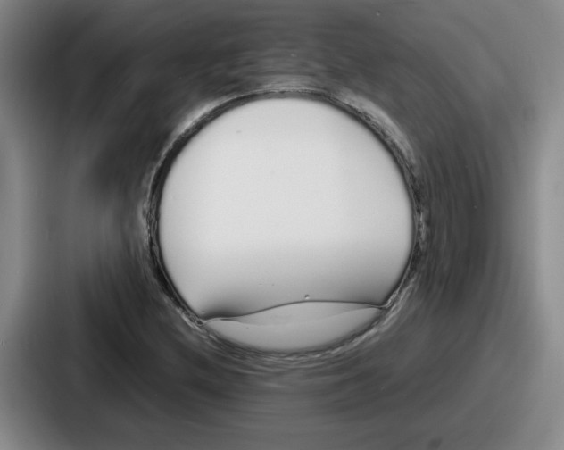 X0000086911212200705141656