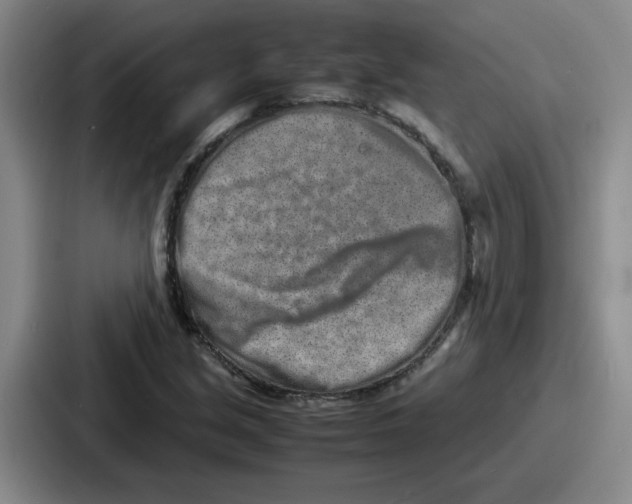 X0000086911213200705141656