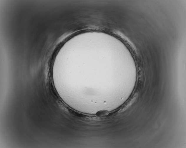 X0000086911215200705141656