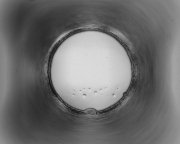 X0000086911216200705141656