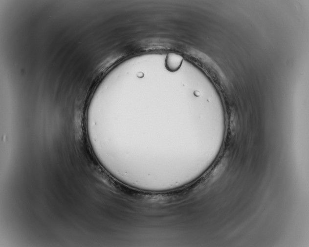 X0000086911217200705141656