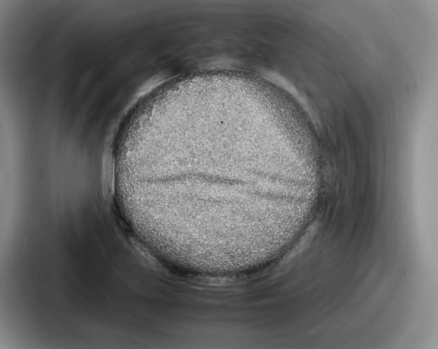 X0000086911219200705141656