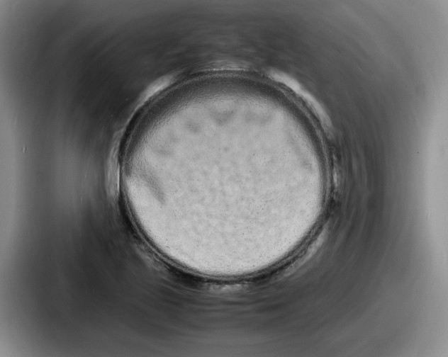 X0000086911221200705141656