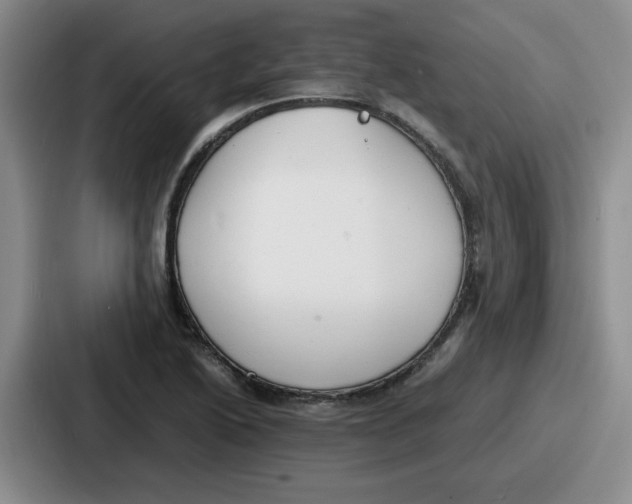 X0000086911222200705141656