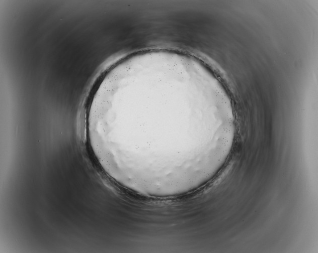 X0000086911223200705141656