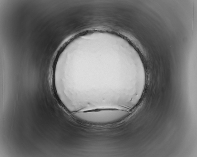 X0000086911224200705141656