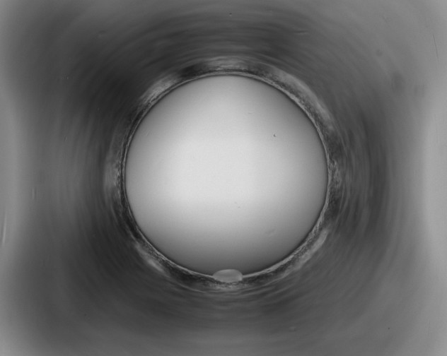 X0000086911225200705141656