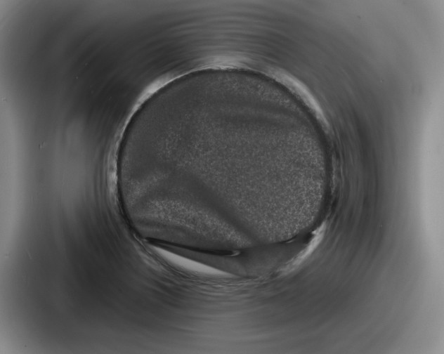 X0000086911226200705141656