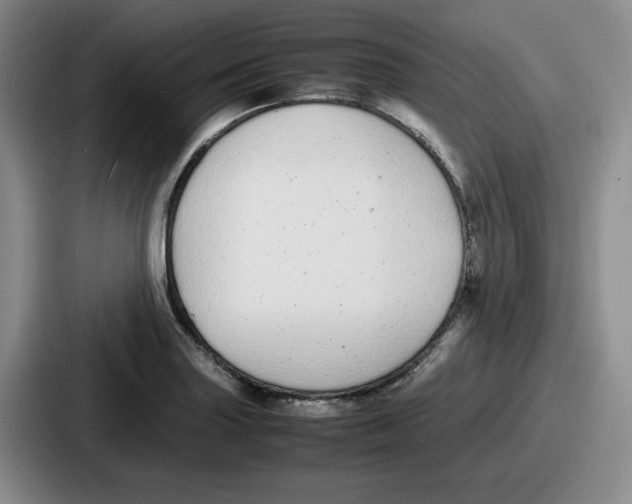 X0000086911227200705141656