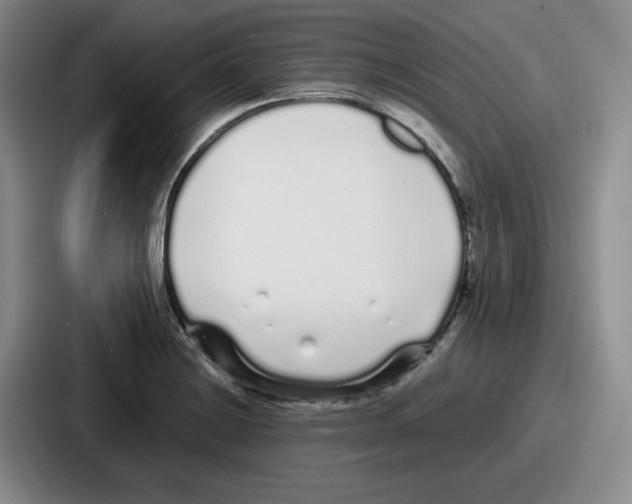 X0000086911228200705141656