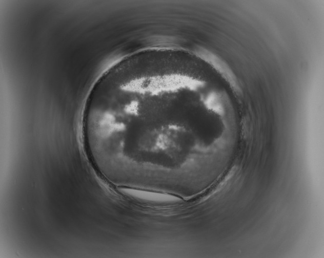 X0000086911229200705141656