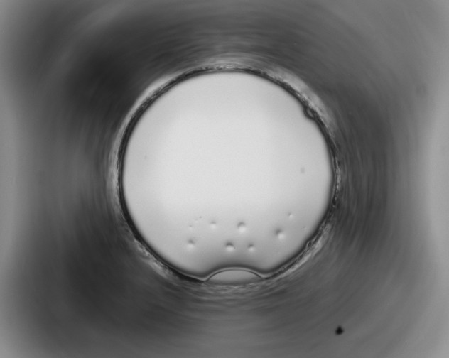 X0000086911232200705141656