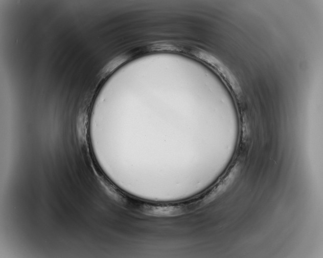 X0000086911233200705141656