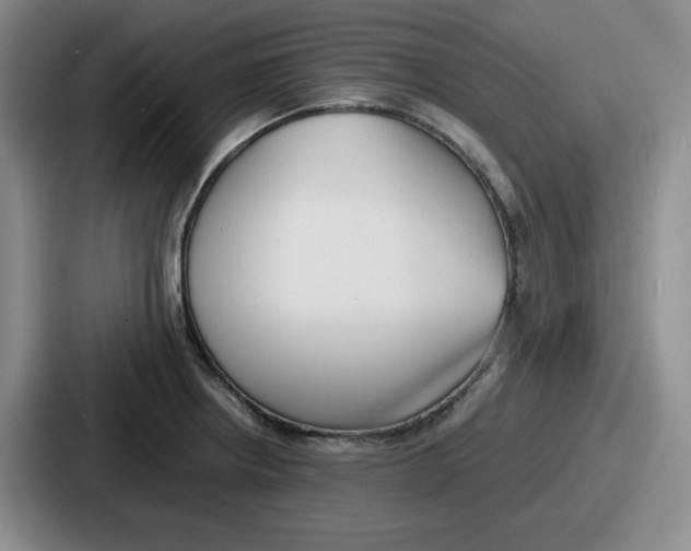 X0000086911234200705141656