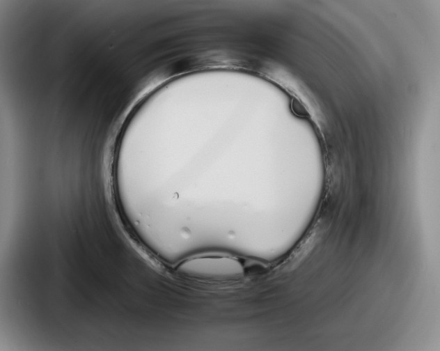 X0000086911235200705141656