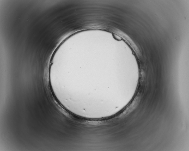 X0000086911236200705141656