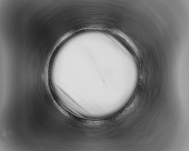 X0000086911237200705141656