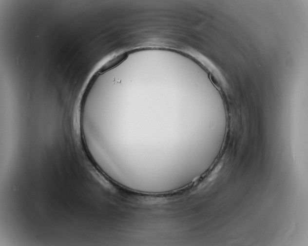 X0000086911238200705141656