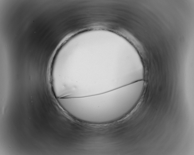 X0000086911240200705141656