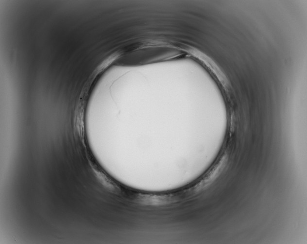 X0000086911241200705141656