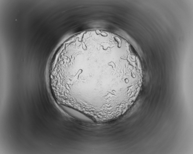 X0000086911243200705141656