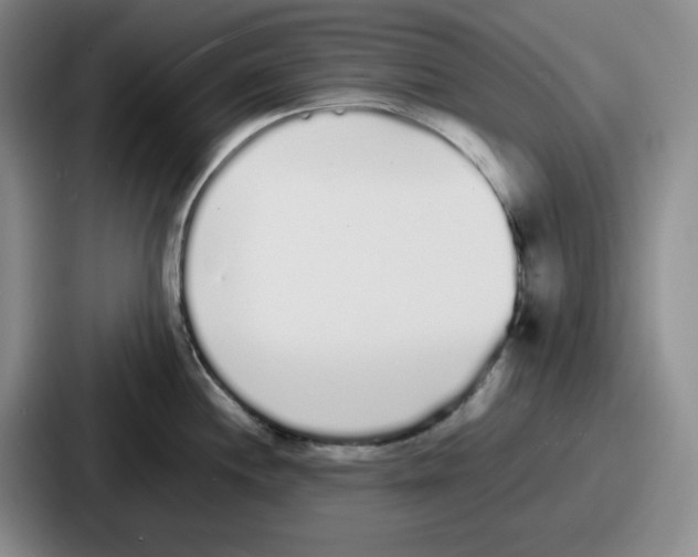 X0000086911244200705141656