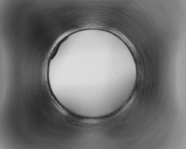 X0000086911246200705141656