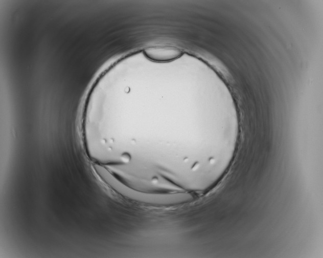 X0000086911248200705141656