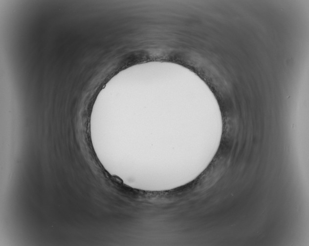 X0000086911249200705141655