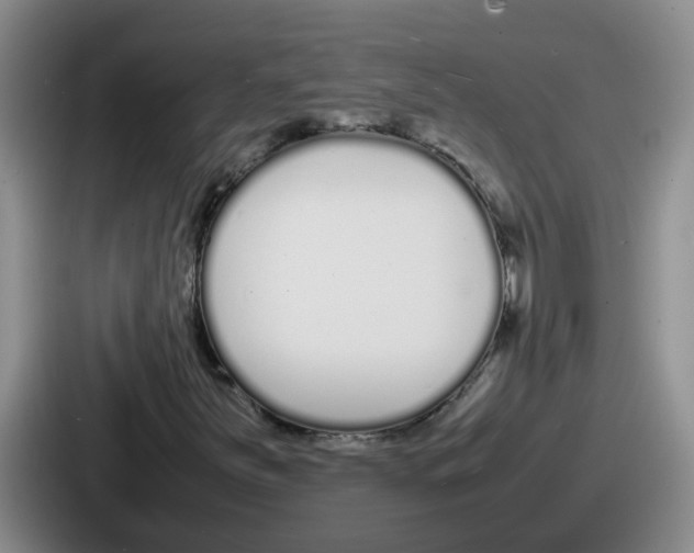 X0000086911251200705141655