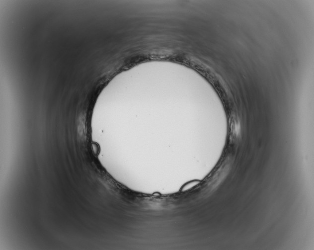 X0000086911252200705141655