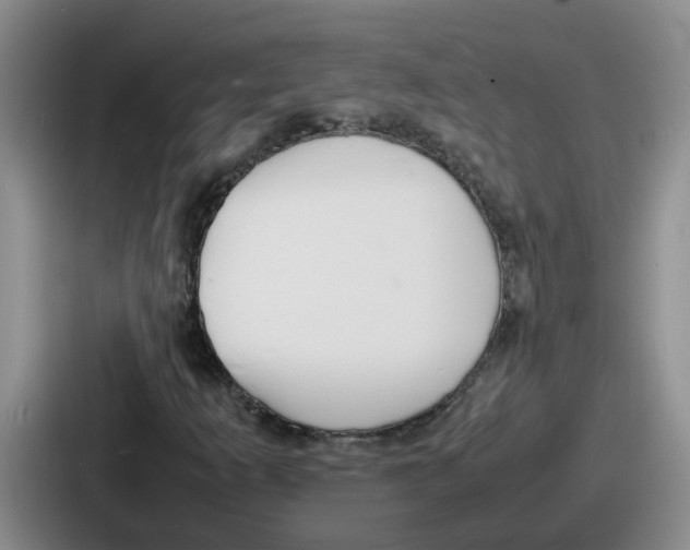 X0000086911253200705141655