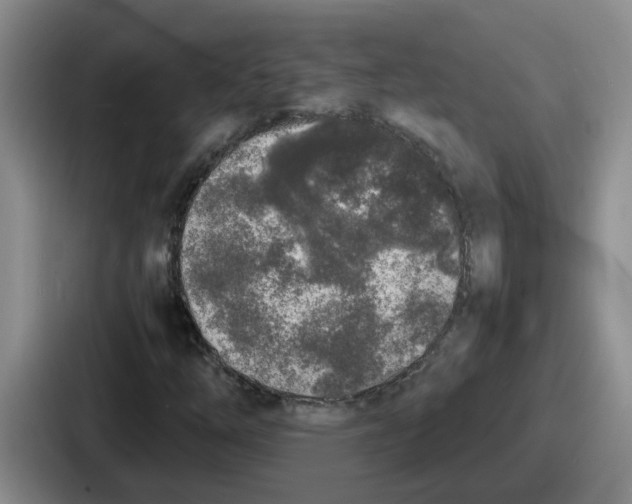 X0000086911254200705141655