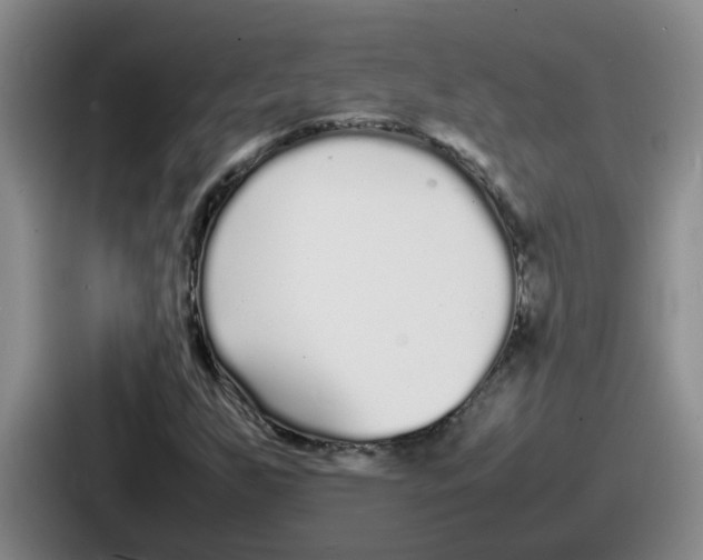 X0000086911255200705141655