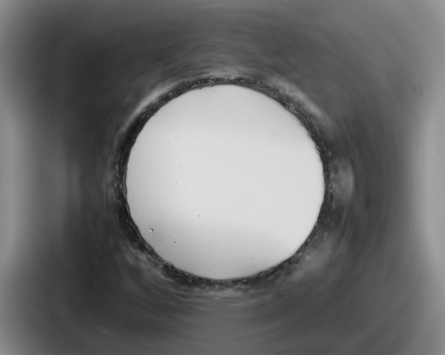 X0000086911256200705141655