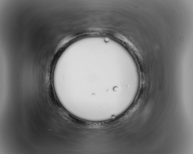 X0000086911259200705141655