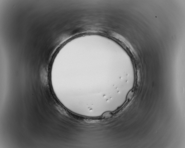 X0000086911260200705141655