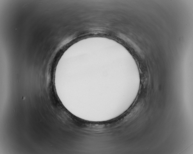 X0000086911261200705141655