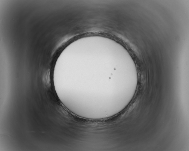 X0000086911262200705141655