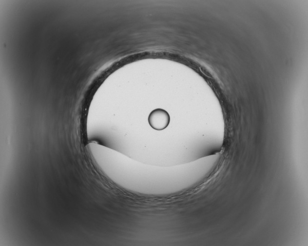 X0000086911263200705141655