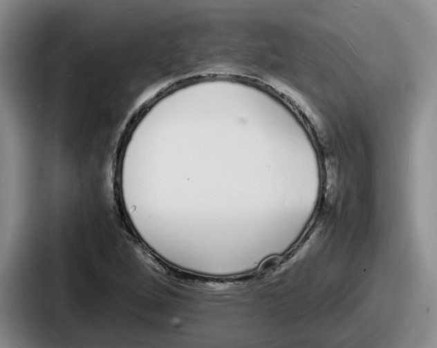 X0000086911264200705141655