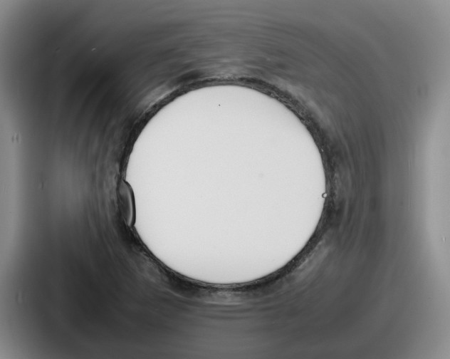 X0000086911265200705141655