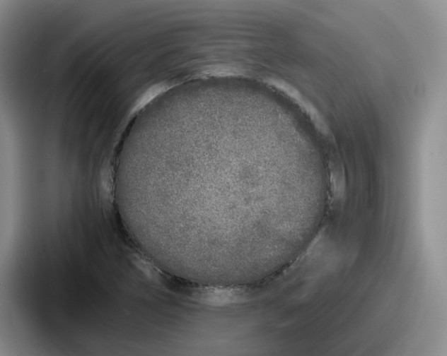 X0000086911266200705141655