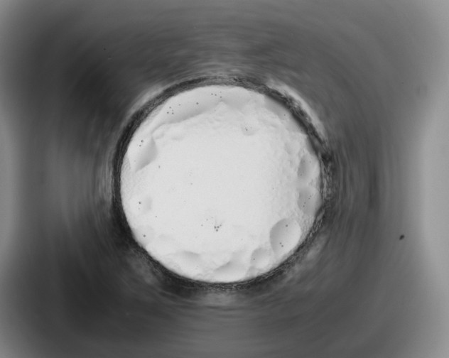 X0000086911267200705141655