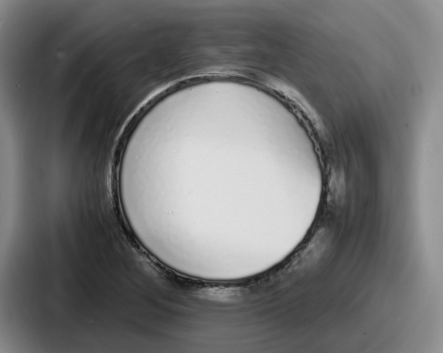 X0000086911268200705141655