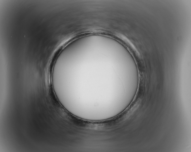 X0000086911269200705141655