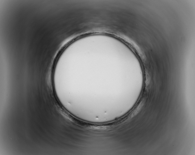 X0000086911272200705141655