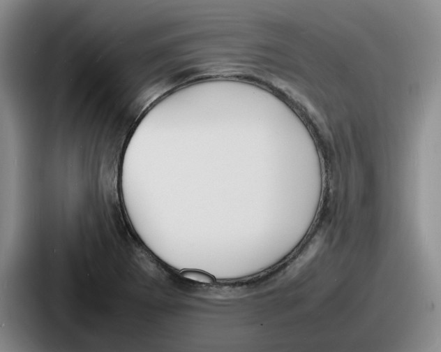 X0000086911273200705141655